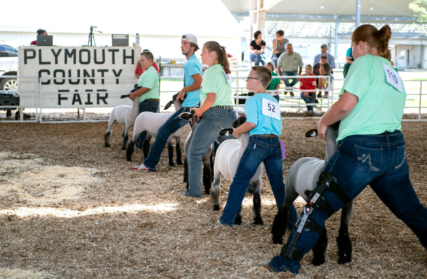 4-H'ers show off their lambs